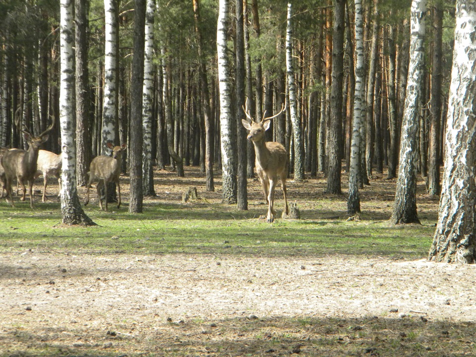 Первомайська подорож…фотки 3