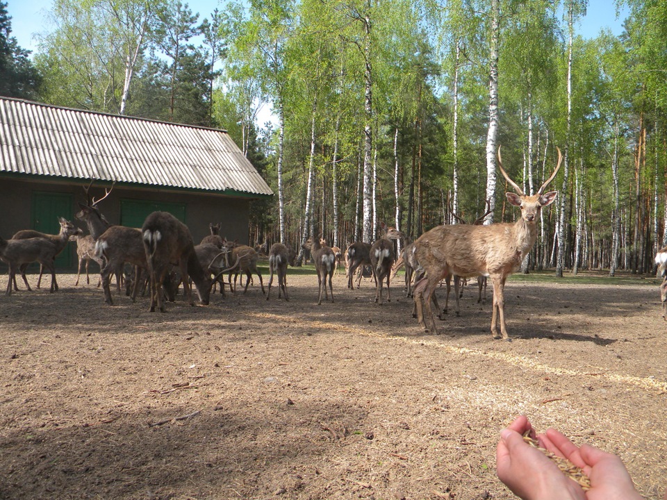 Первомайська подорож…фотки 4