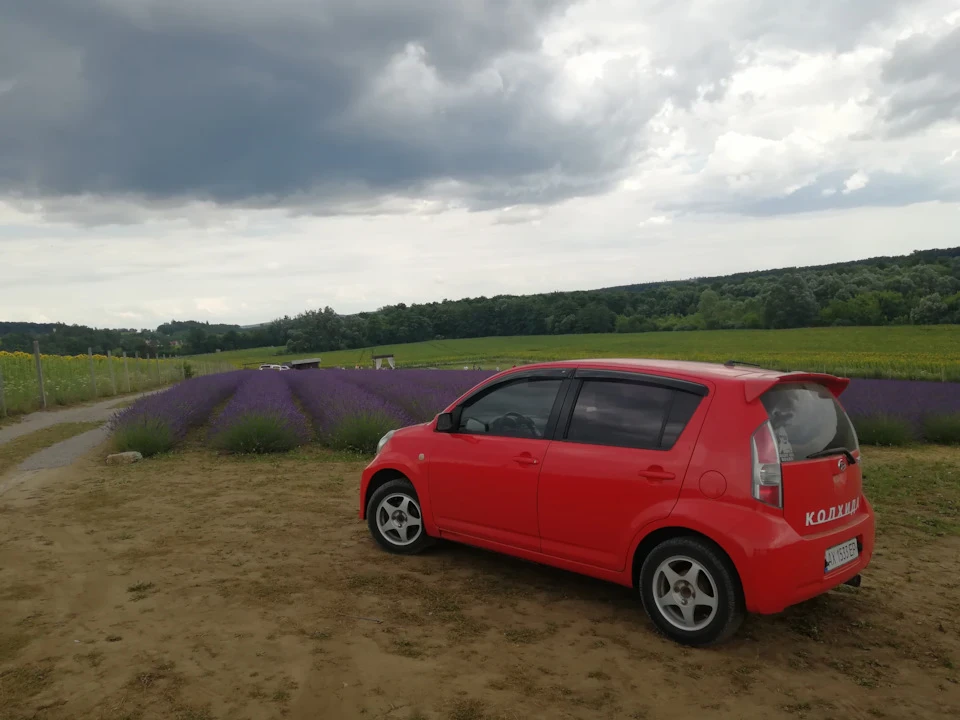 Запізніле ТО.