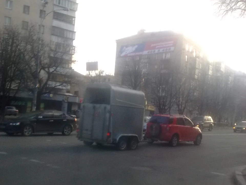 Прикольний бачив террик