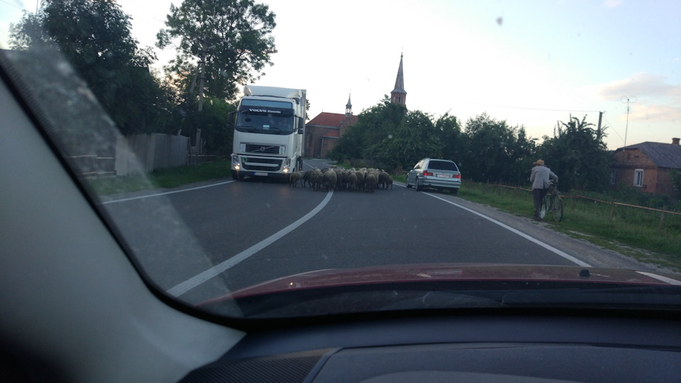 Поїздка на захід 2
