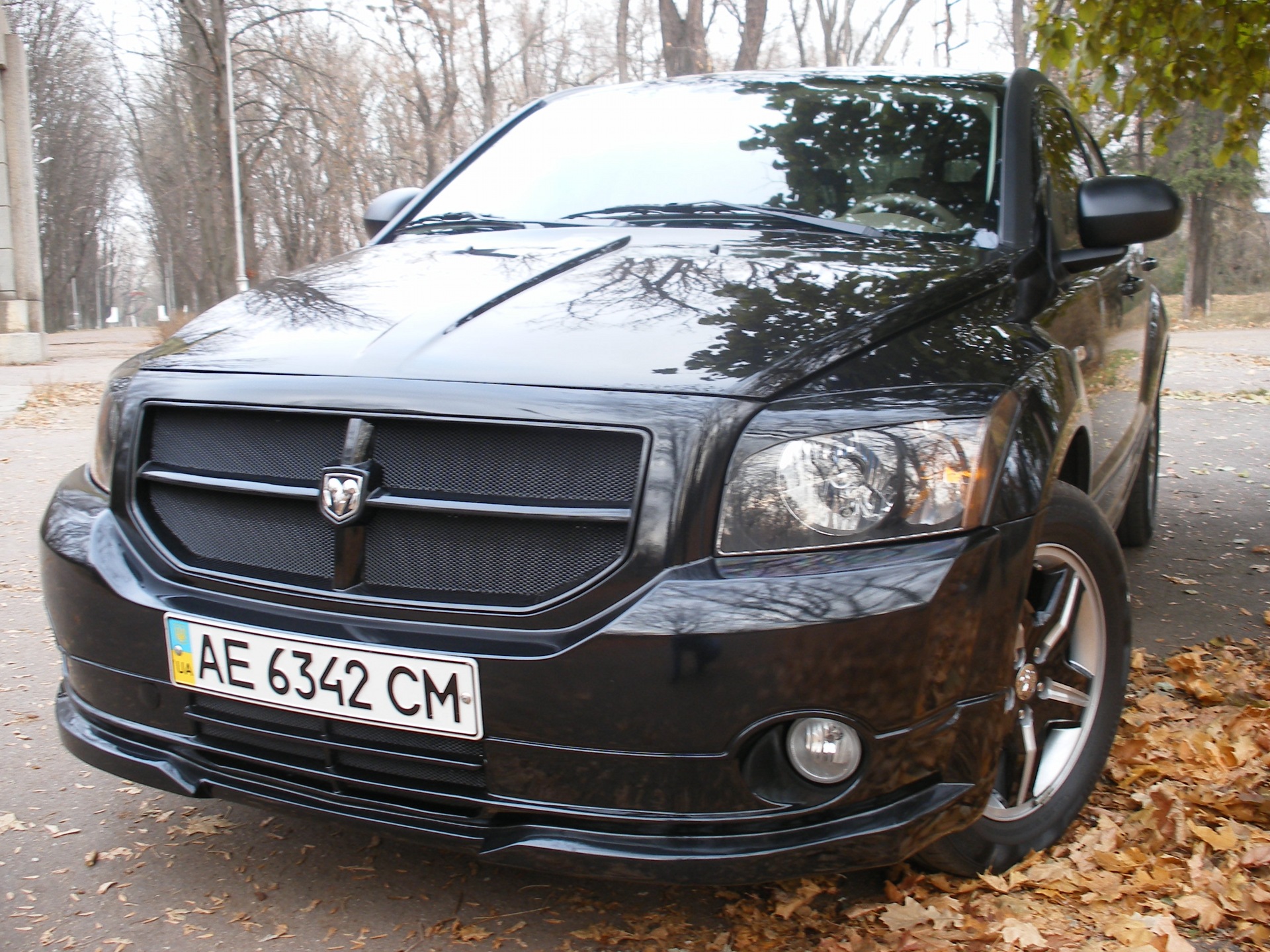 Не великий, не професійний осінній фотосет Calibra . 4