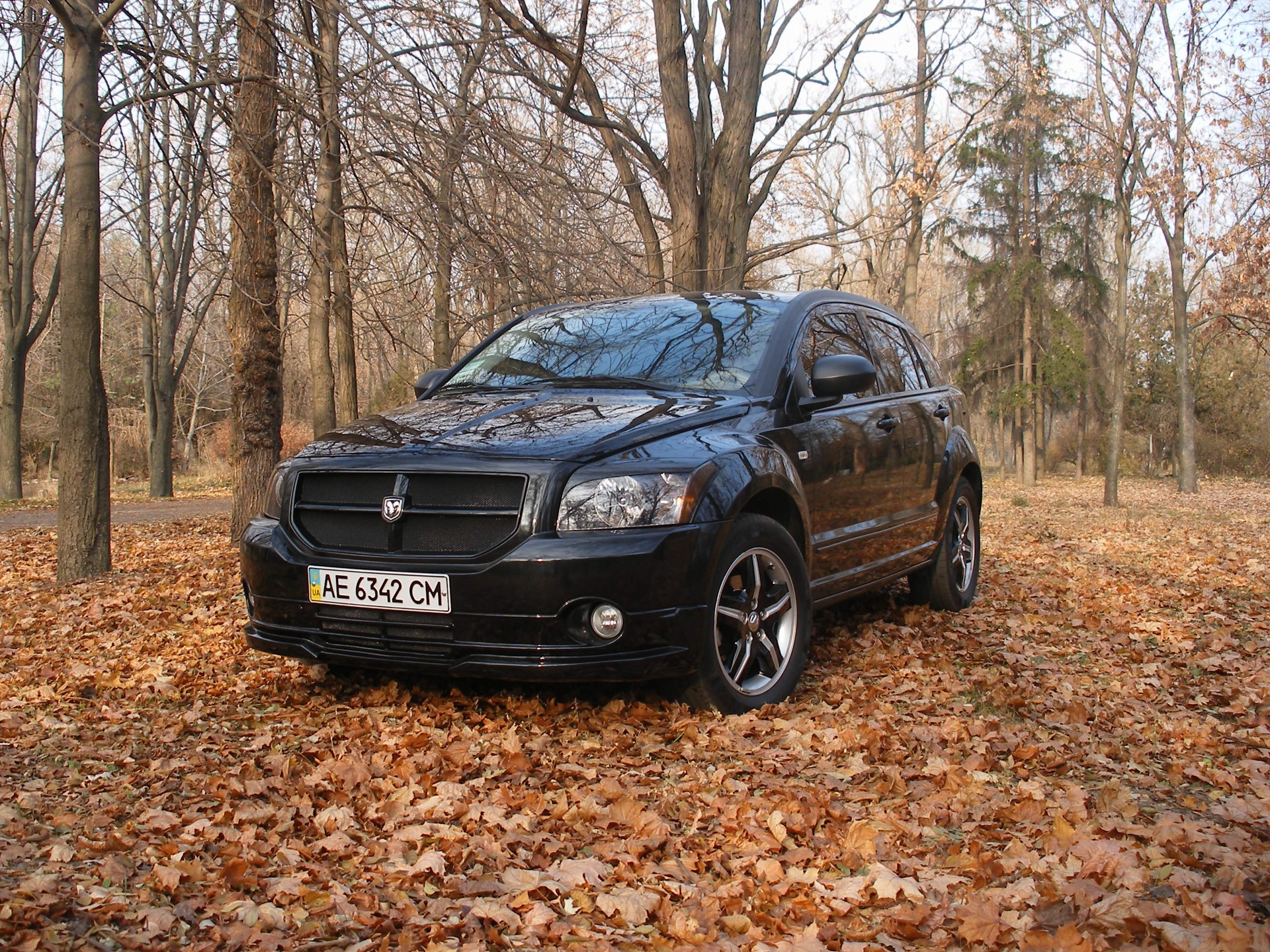Не великий, не професійний осінній фотосет Calibra . 2