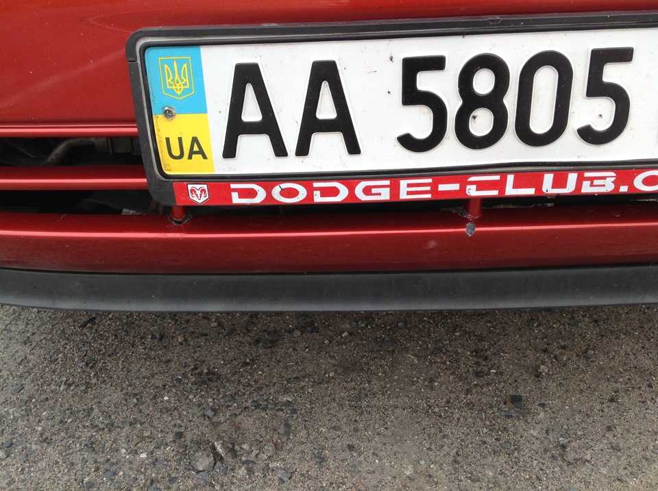 Собака :( 3