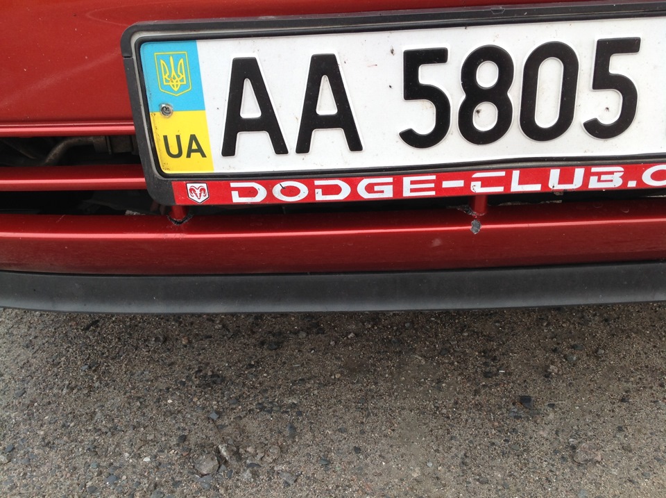 Собака :( 4