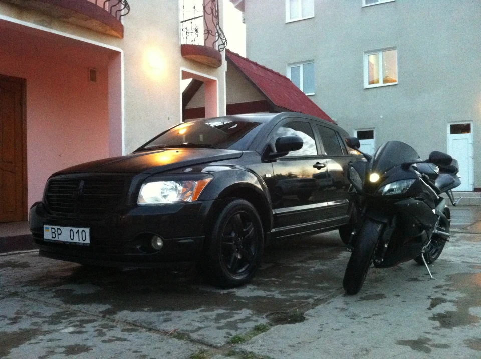 Фото моїх улюбленців!