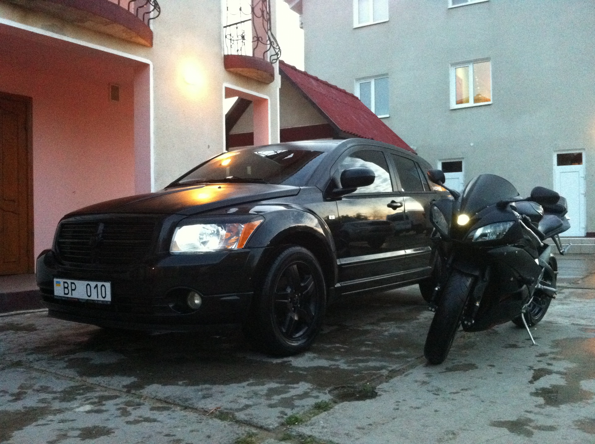 Фото моїх улюбленців! 1