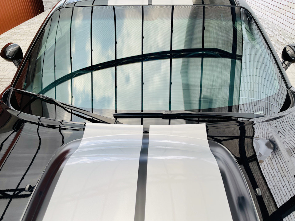 Lumar Window Tint 1