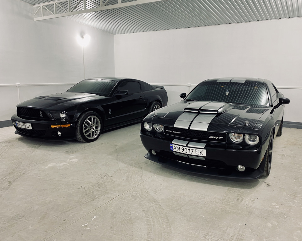 Muscle Garage 1