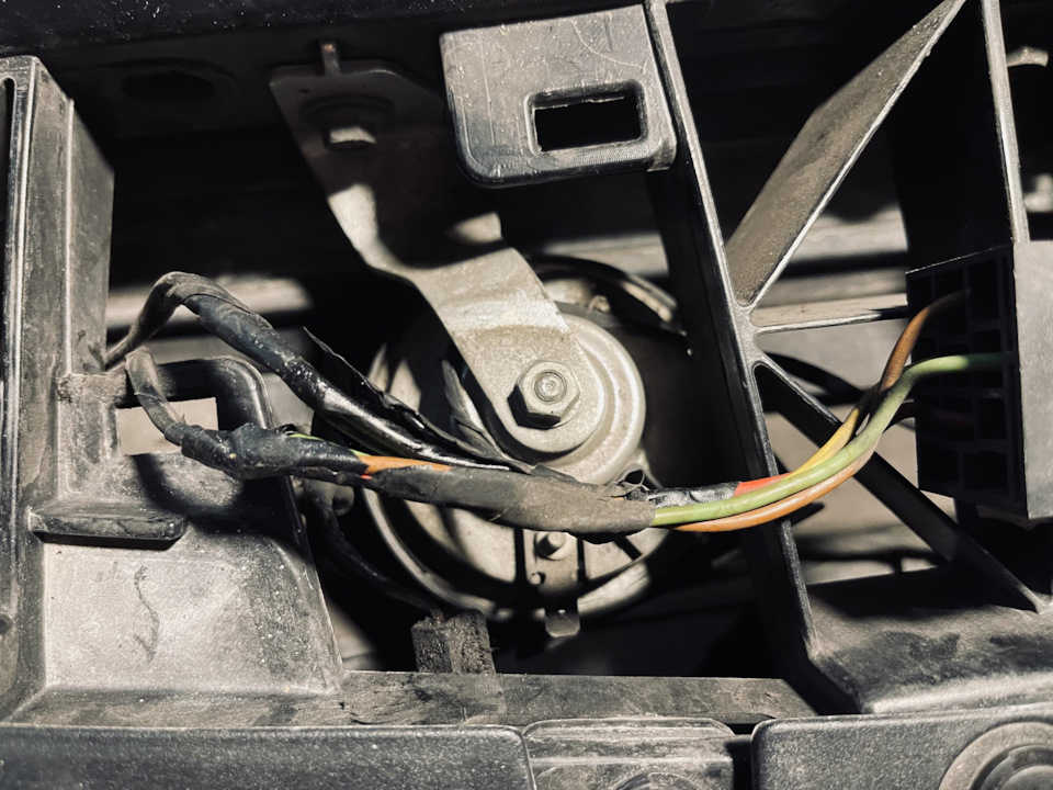 OEM Horn Restoration 2