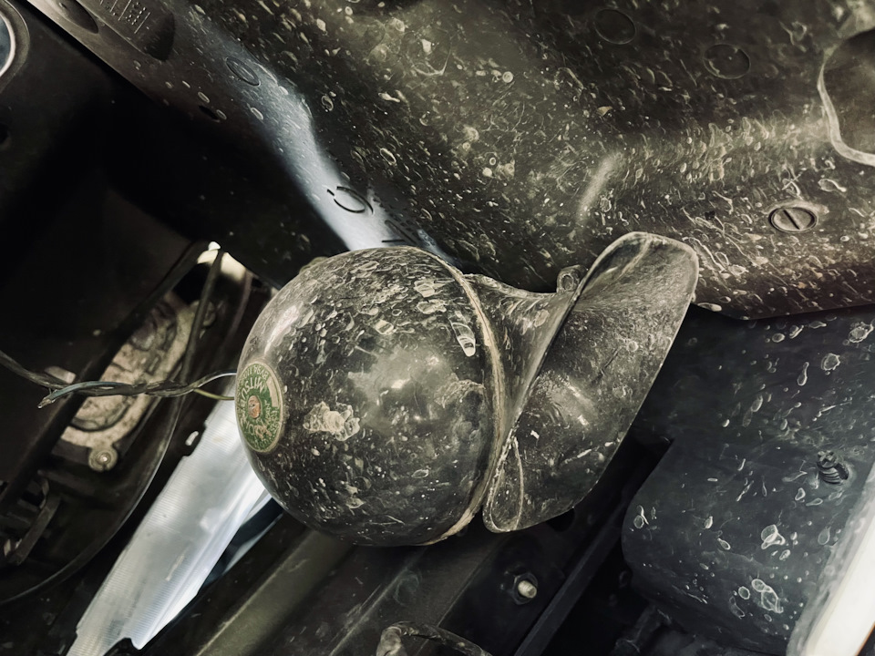 OEM Horn Restoration 4