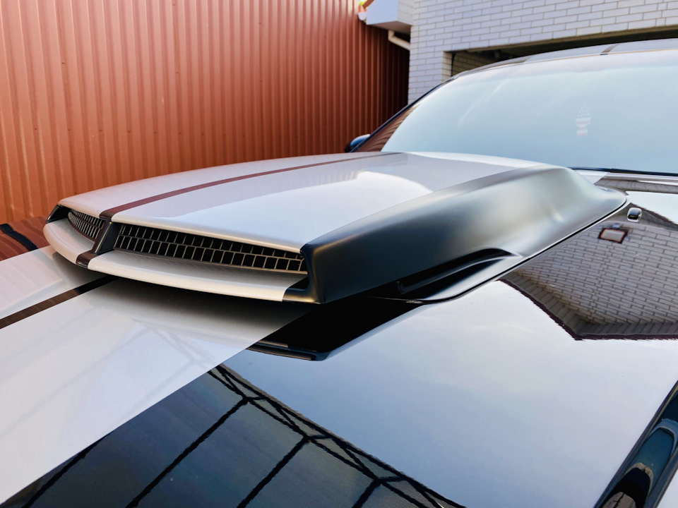 OEM Mopar Challenger T/A Hood 2