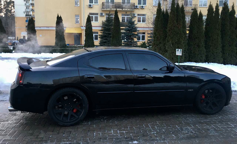 Чорний звір на прогулянці 5