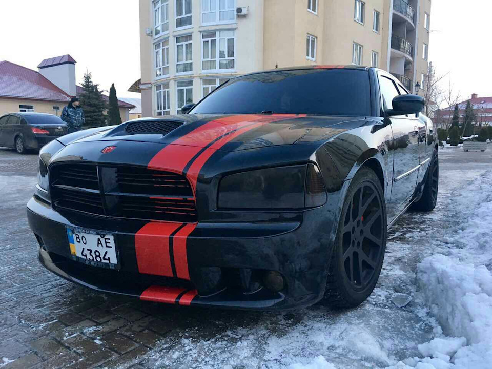 Чорний звір на прогулянці 2