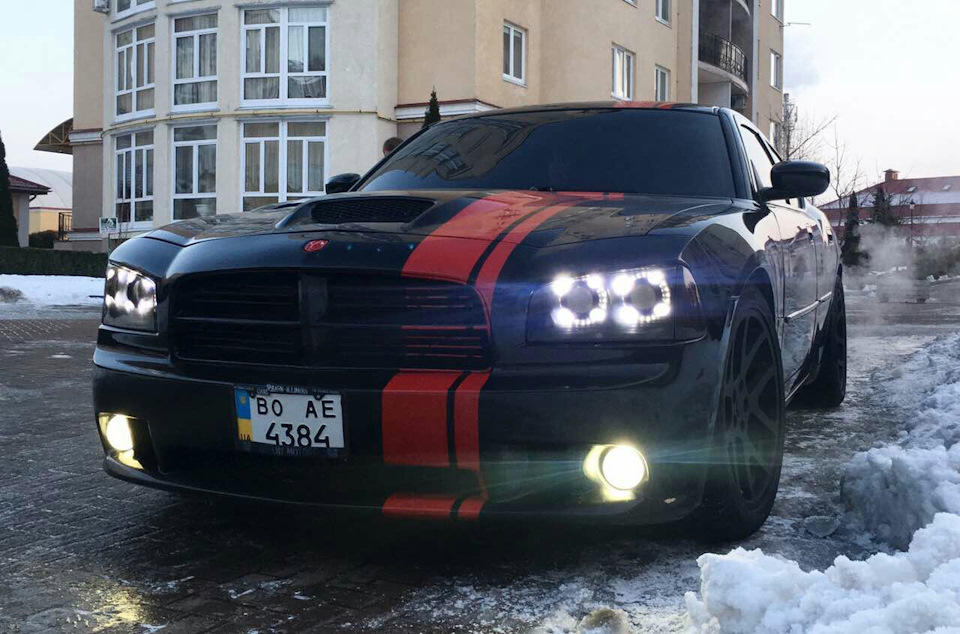 Чорний звір на прогулянці 3