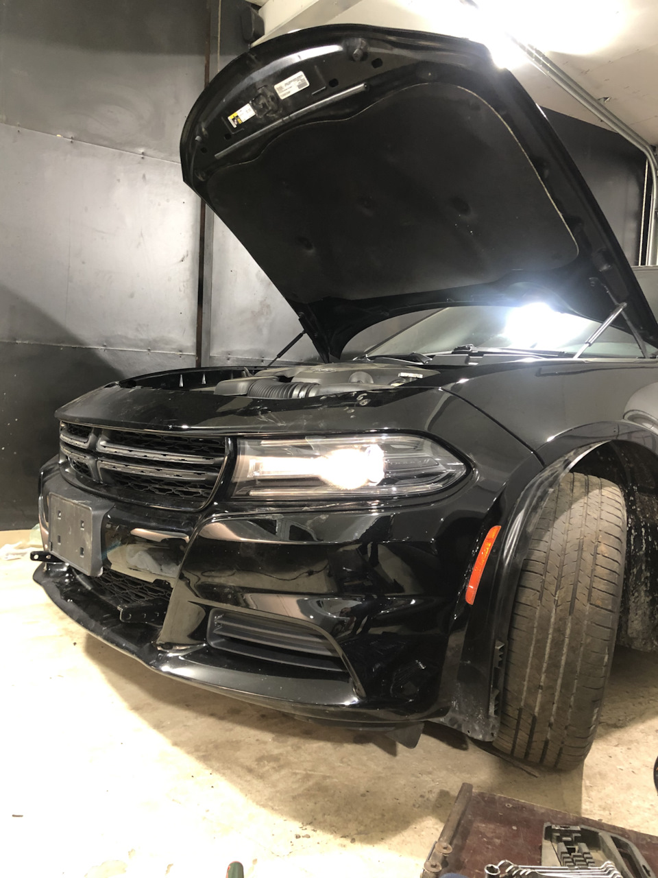 push bumper dodge charger 4