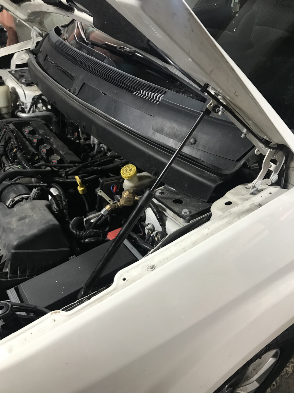 Амортизатори капота Dodge Journey 1