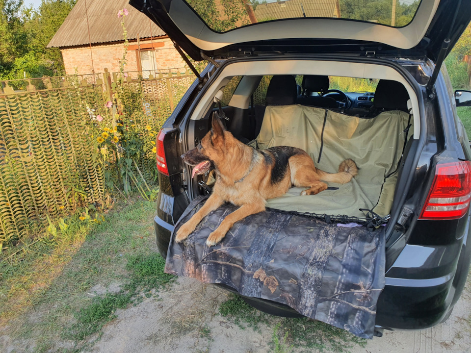 Накладка на задній бампер. 1