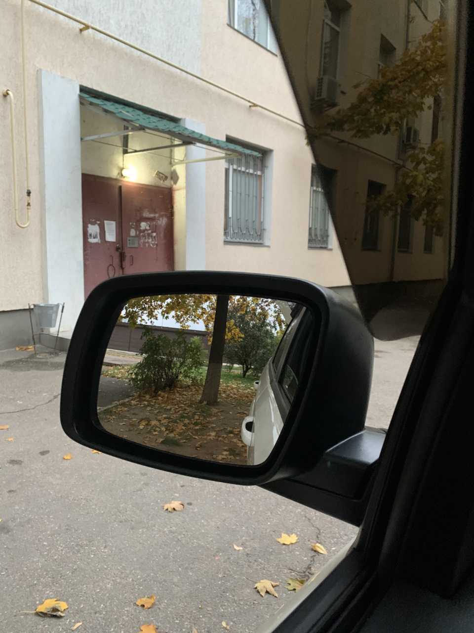 Високо сиджу - далеко дивлюся 1