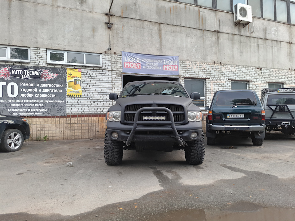 Нові тапки для крокодила))) 4