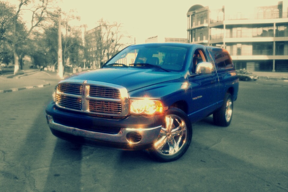 Ram навесні :) 1