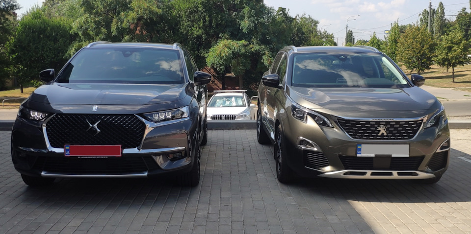 DS7 Crossback. Борошна вибору. 1