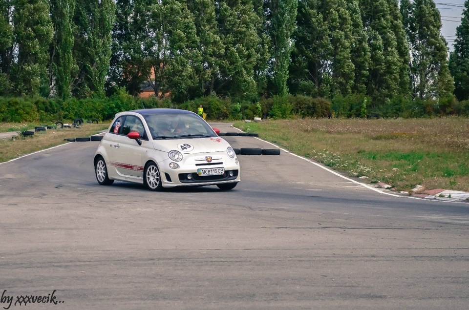 Жучка на Лтаві (фото) 5