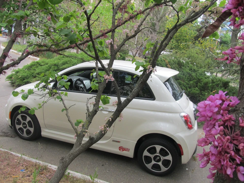 FIAT 500, бензин було, газ було, а тепер ми просто від розетки)