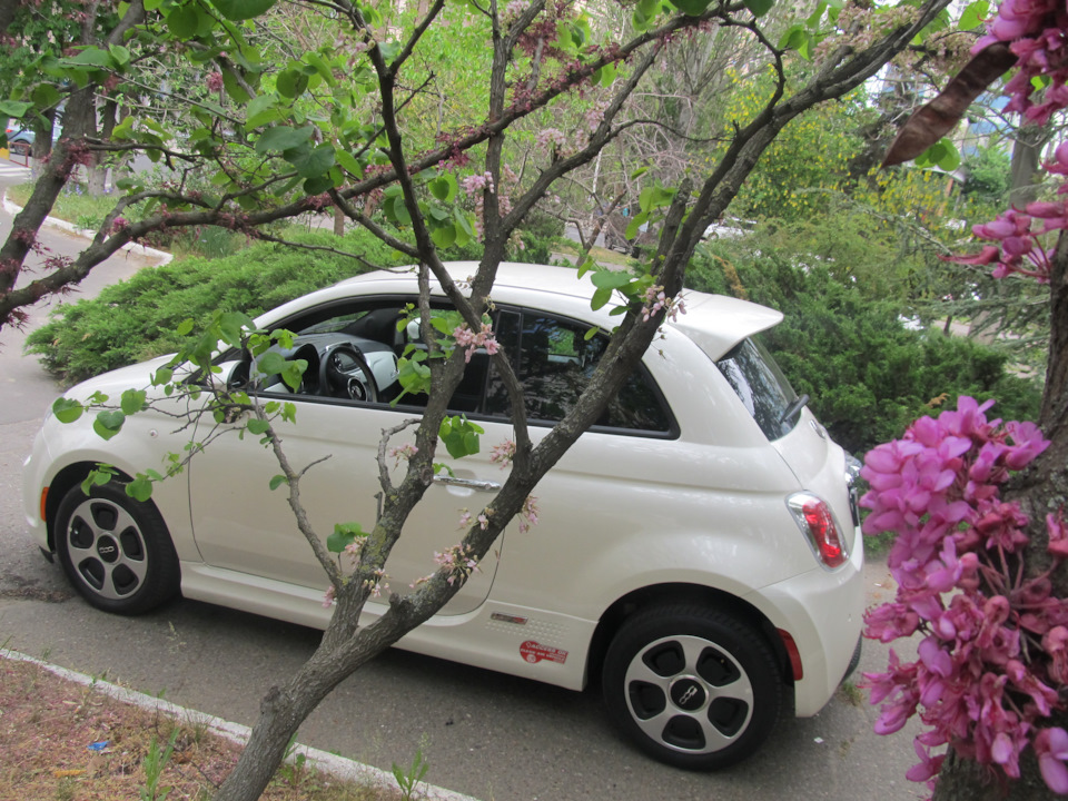 FIAT 500, бензин було, газ було, а тепер ми просто від розетки) 1