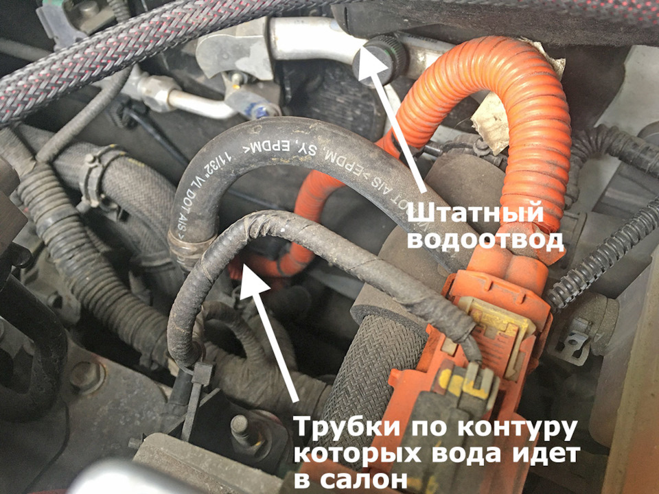 Коли мокро в салоні, або про проблему багатьох Fiat 500E 3