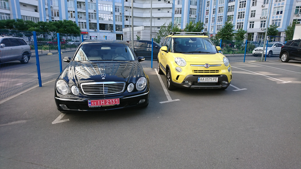 Остання зустріч чотириоких 1