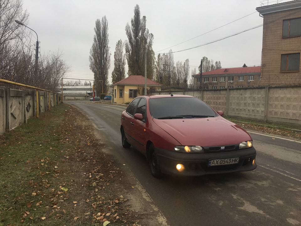 Пару осінніх фото) 1