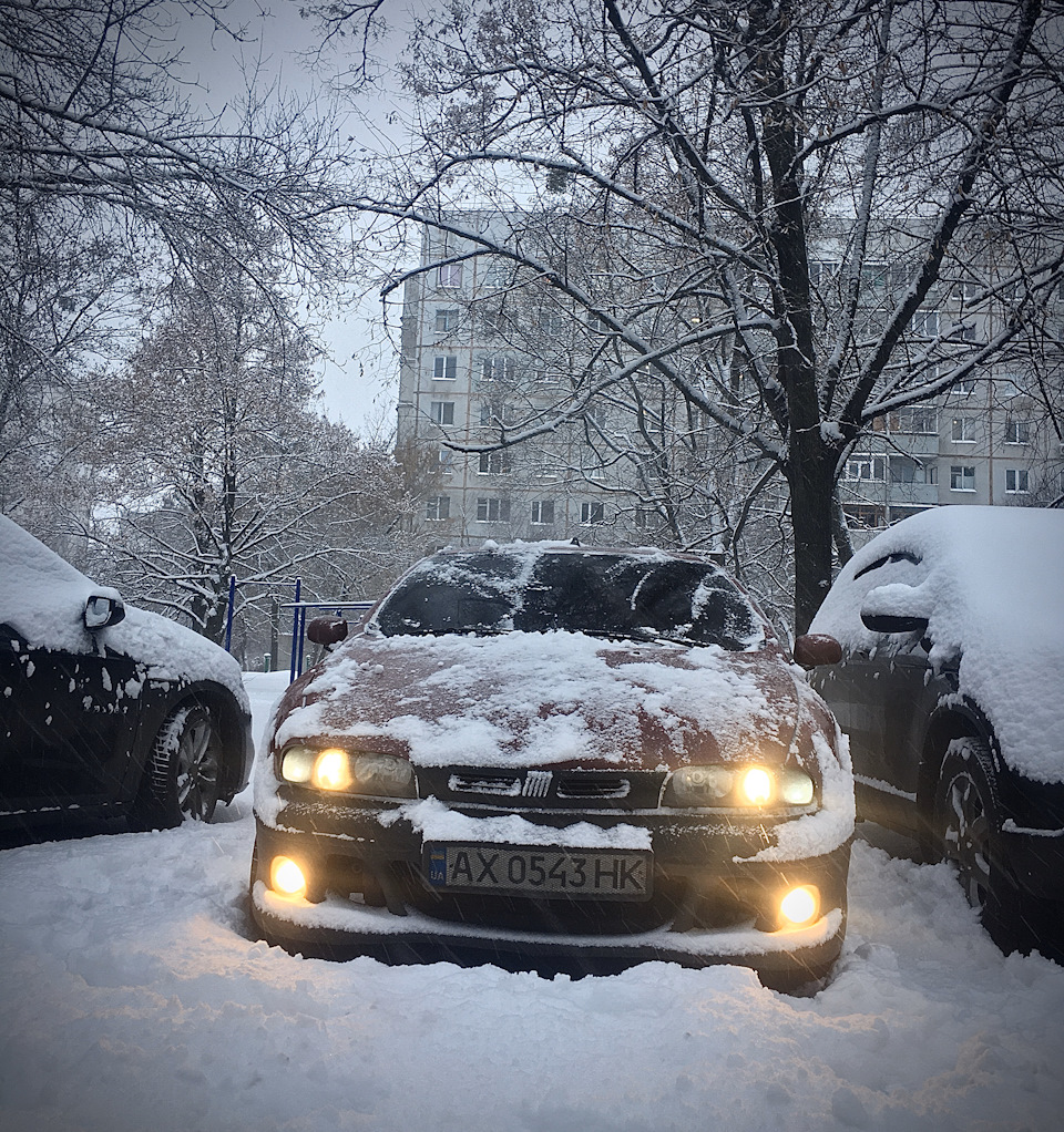 З першим снігом!) 1
