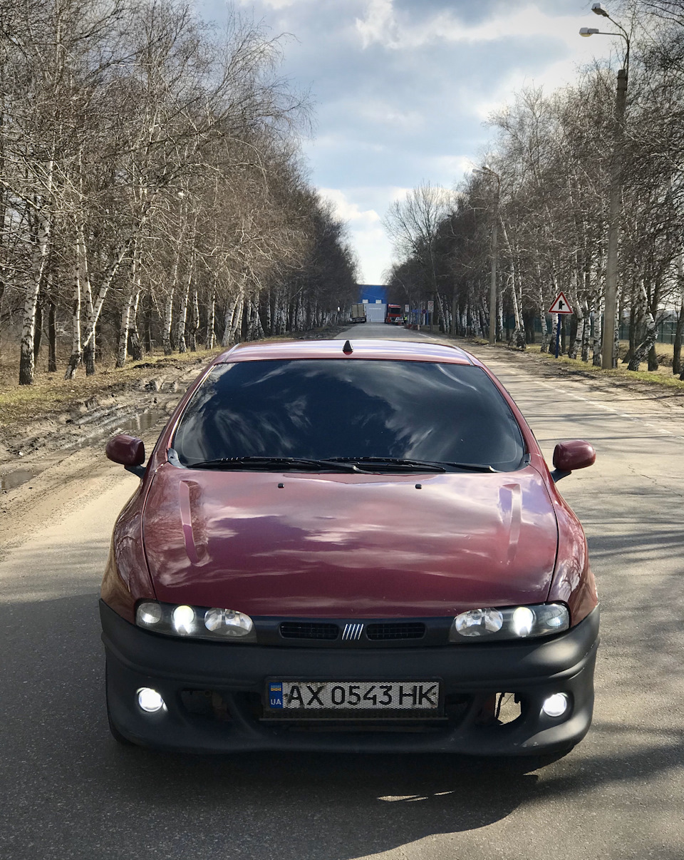Теплих фото вам у стрічку 1