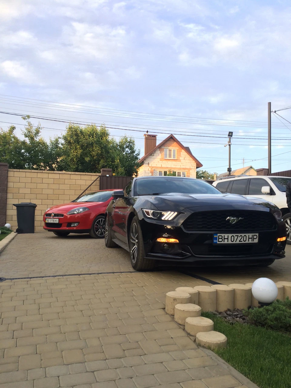 Життя бравіка