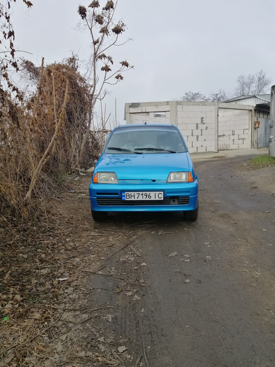 Покотушки 2