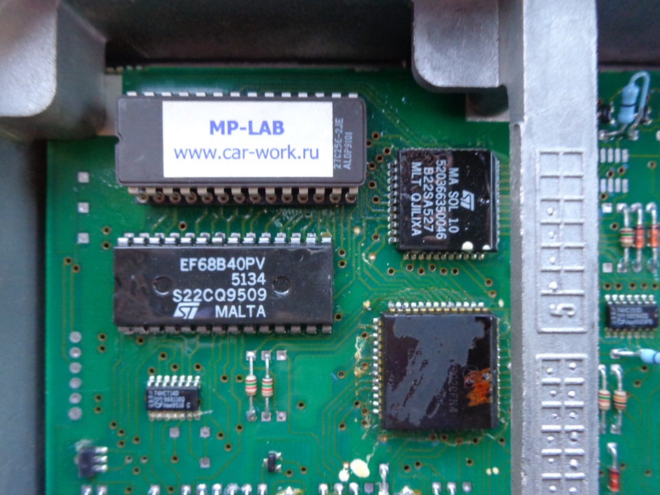 Захоплюючий пошук коней. Частина I 5