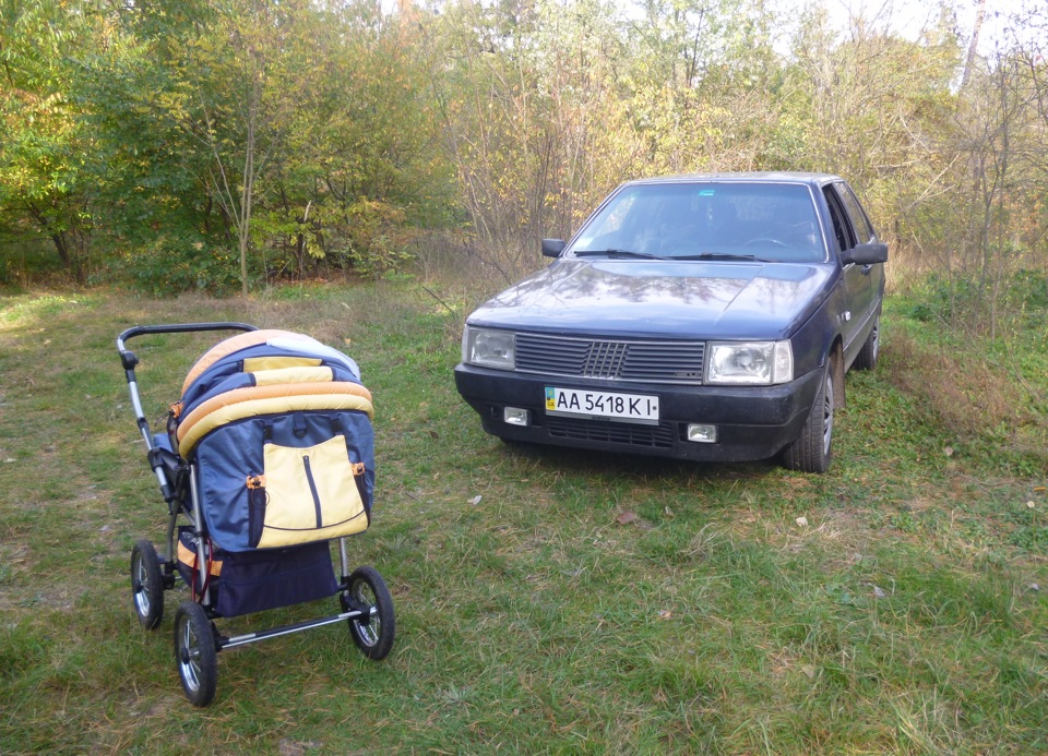 Фотки з прогулянки лісом. 2