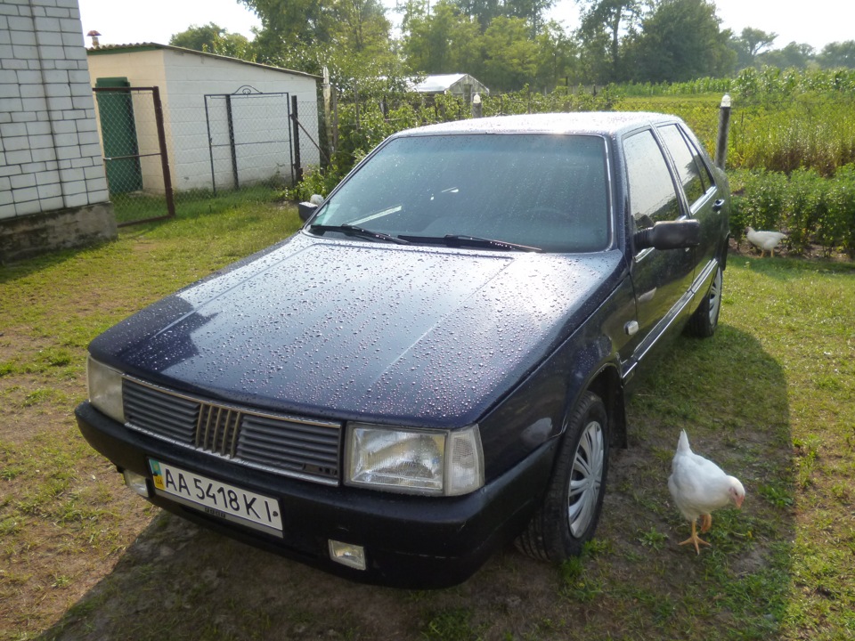 Трохи свіжих фото 2