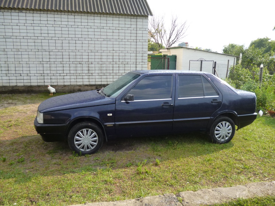 Трохи свіжих фото 1