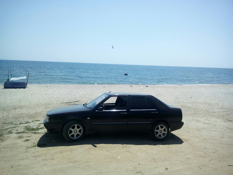 Дикі пляжі 3