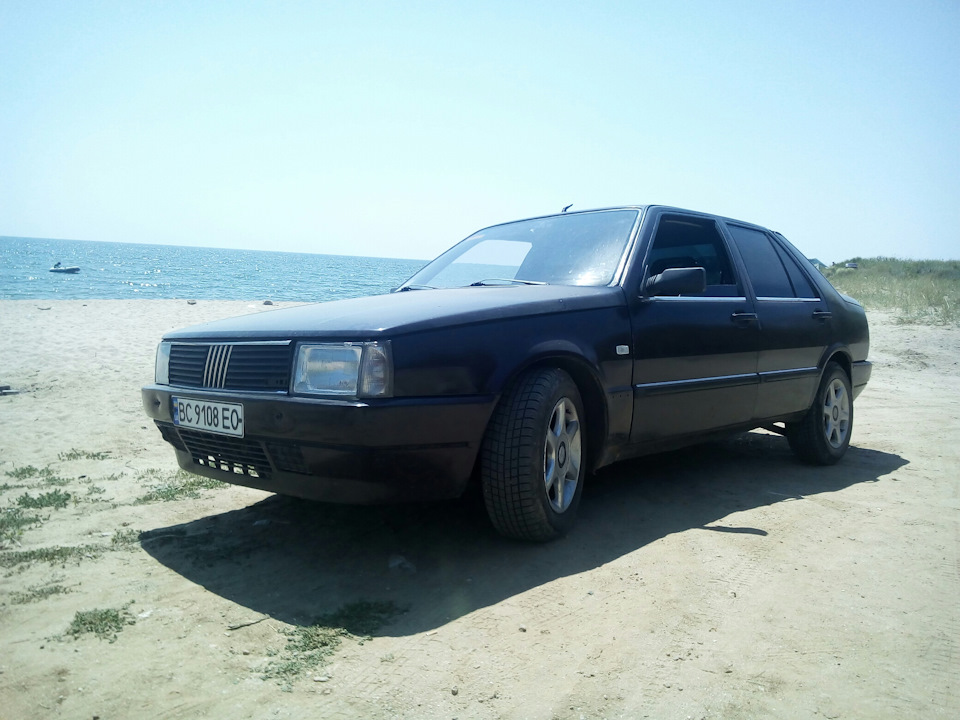 Дикі пляжі 2