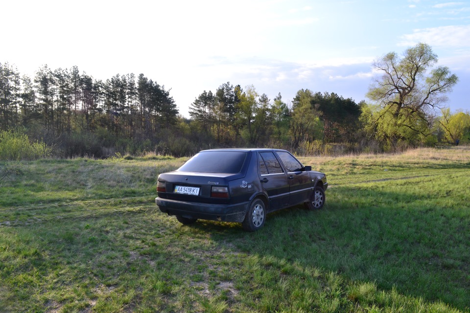 Вибралися на природу, фотки 3