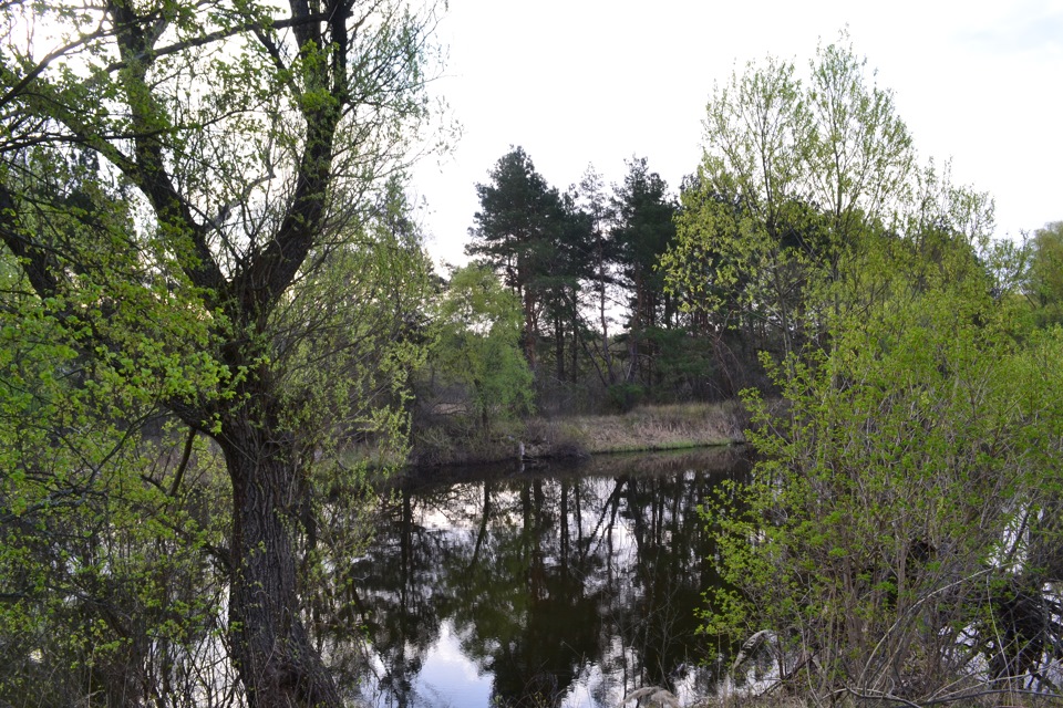 Вибралися на природу, фотки 5
