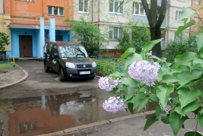 Їздили з малявками на пікнік 1