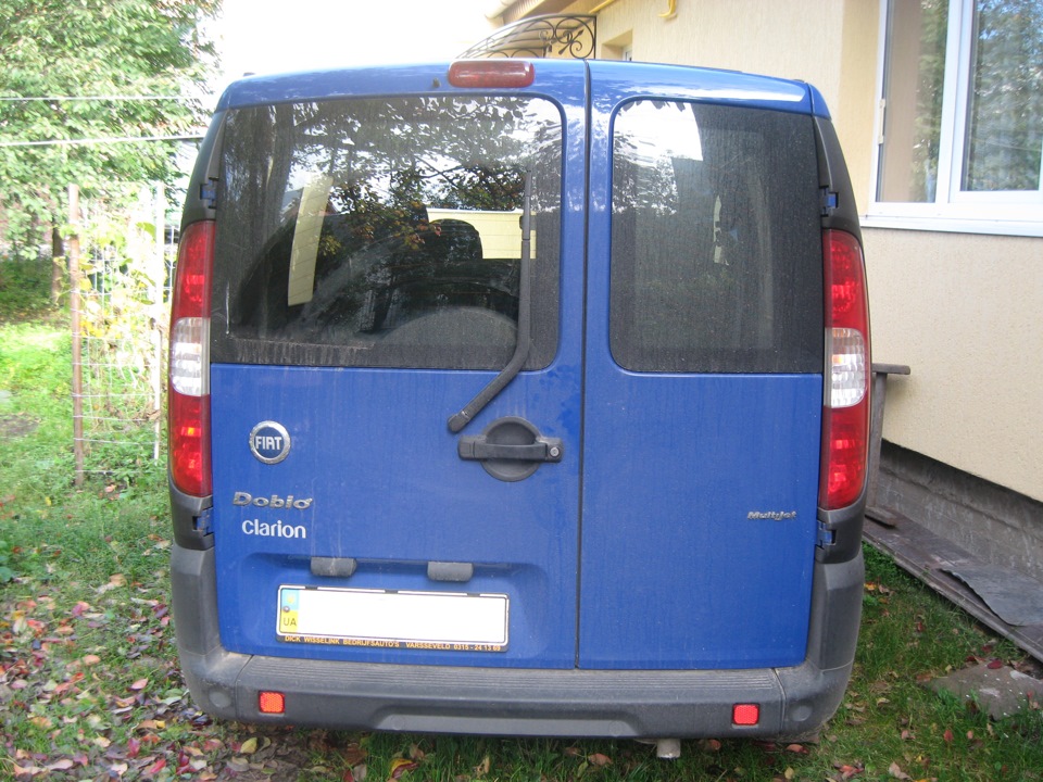 Ми після грибів 3