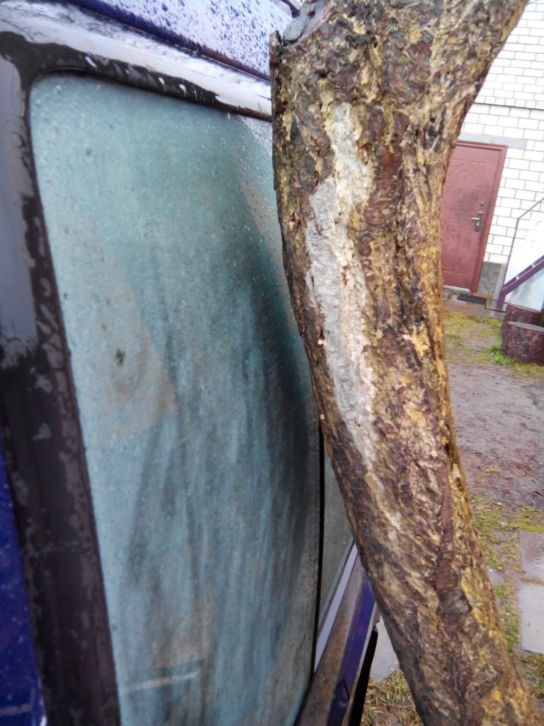 *припаркувався* 3