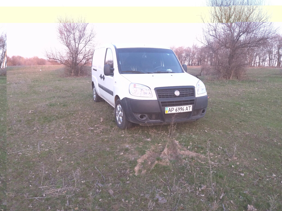 Фото на природі 2