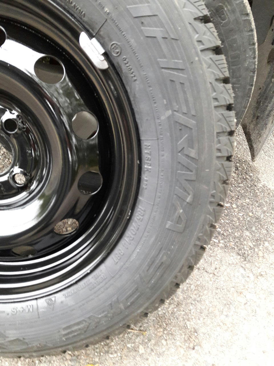 Гума на зиму, Nitto therma spark 5