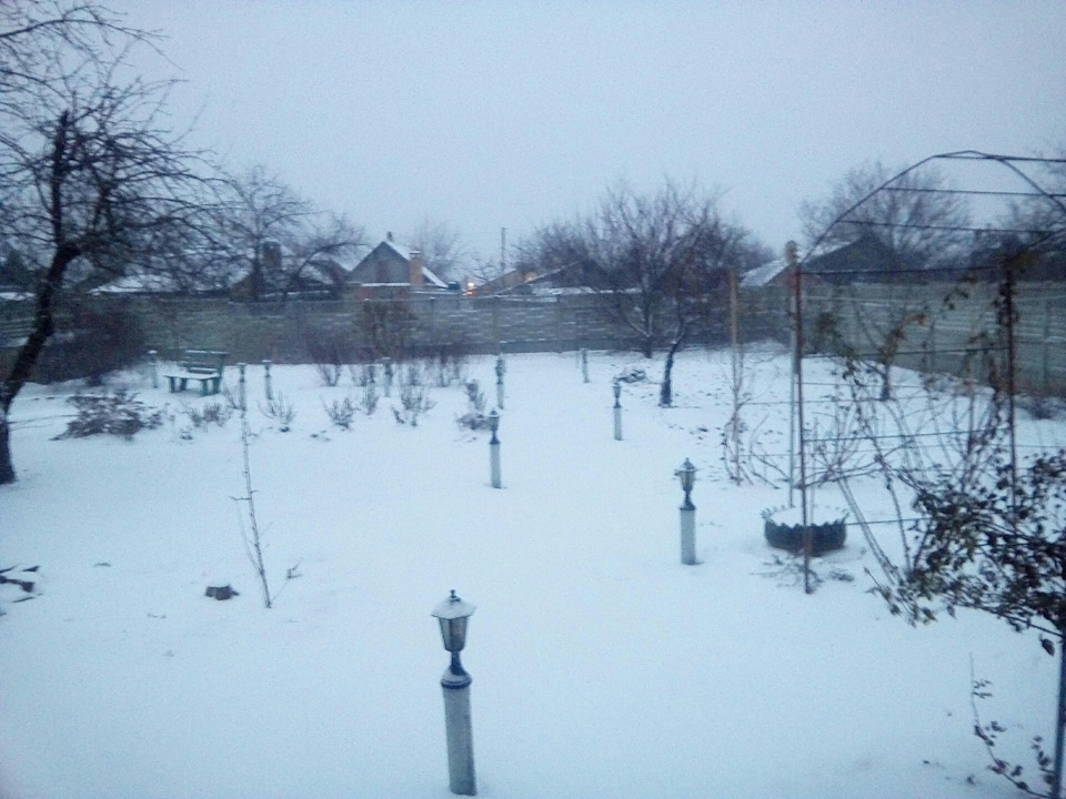 Перший сніг, перші враження 2